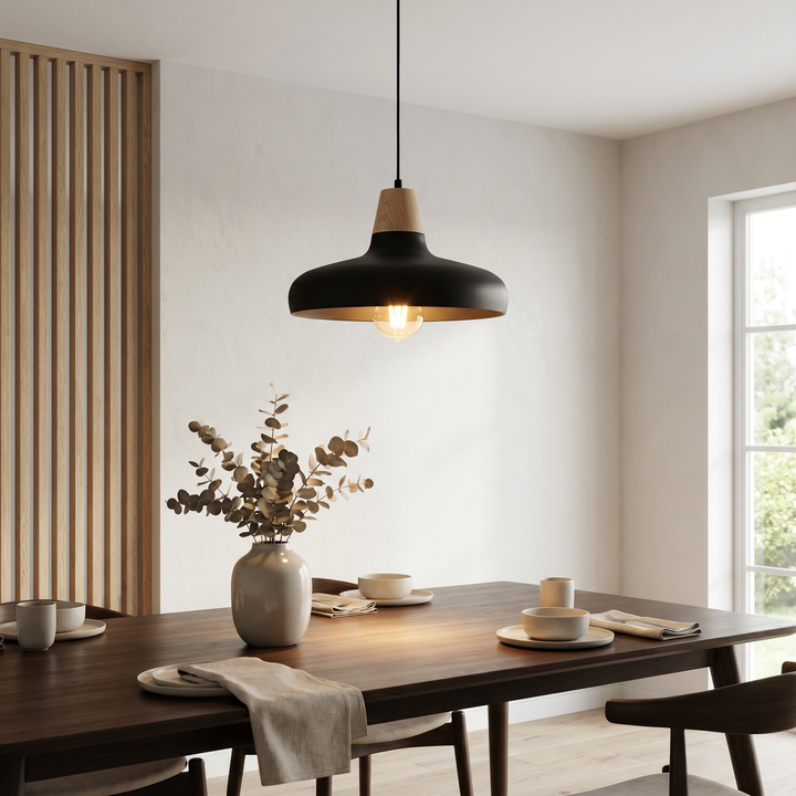 Modern Wood & Iron Dome Pendant Light